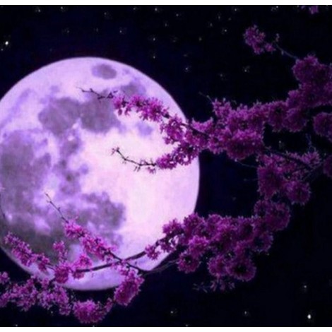 Full Moon Diamond Painting Kit