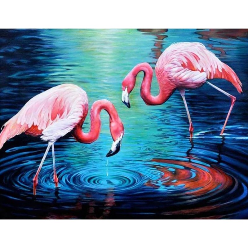 Flamingos Pair in Wa...