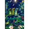 Frogs & Dragon Flies