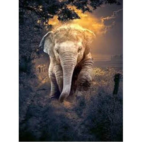 Cute Baby Elephant