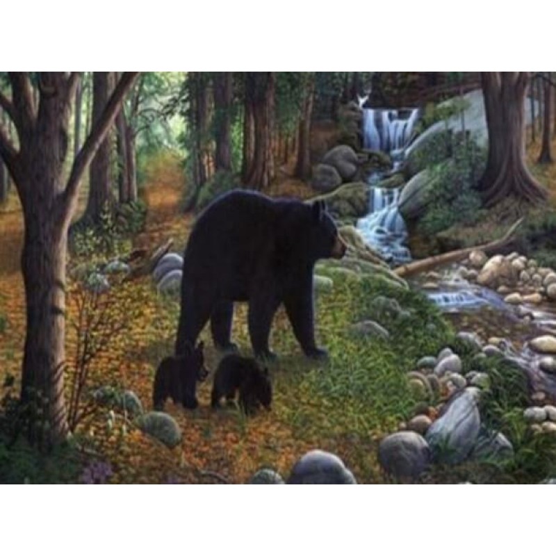 Black Bear with Babi...