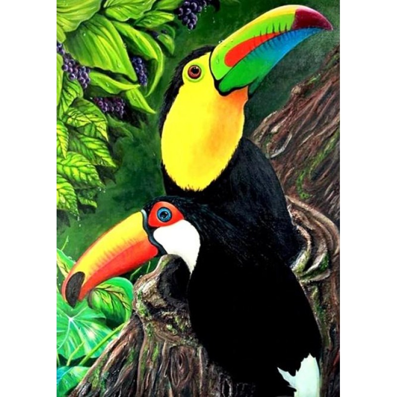 Beautiful Toucan Bir...