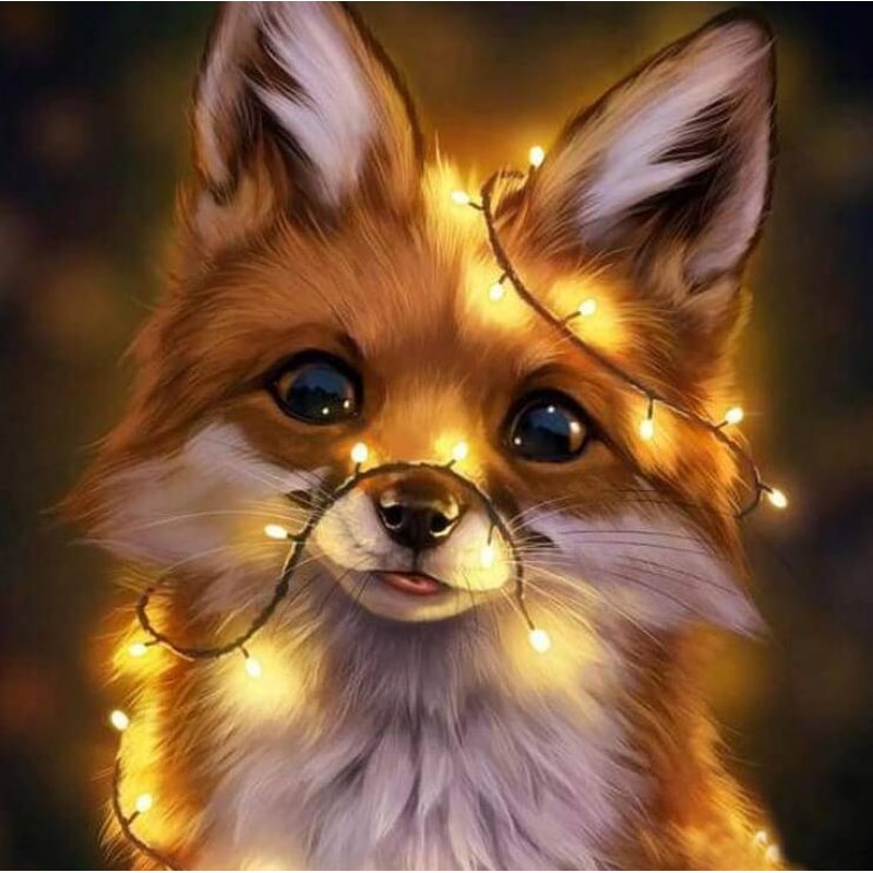 Fox Full Drill Diamo...