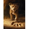 Following the Paws - Paint with Diamonds