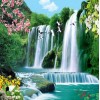 Flying Birds & Amazing Waterfall