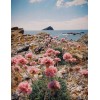 Flowers by the Ocean