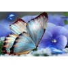 Blue Orchids & Butterfly