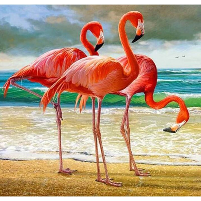 Flamingos on the Bea...
