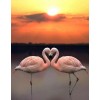 Flamingos & Sunset Landscape