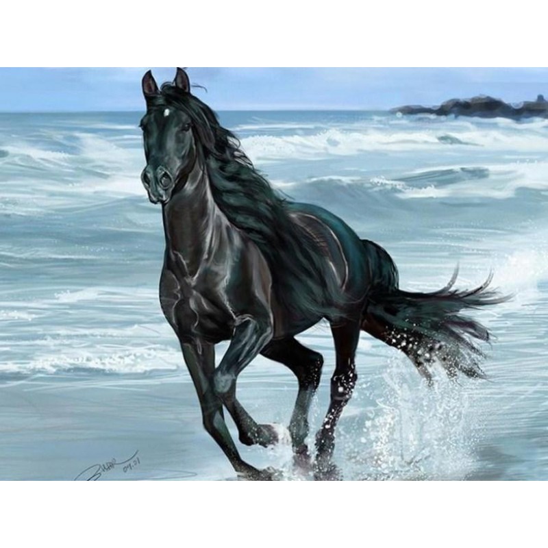 Black Horse Running in Wa...