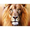Captivating Lion - Paint by Diamonds