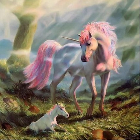 Fantasy Unicorn Painting Kit