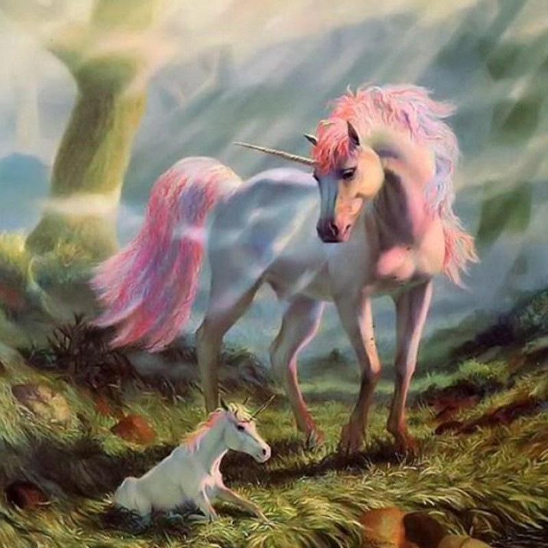 Fantasy Unicorn Pain...