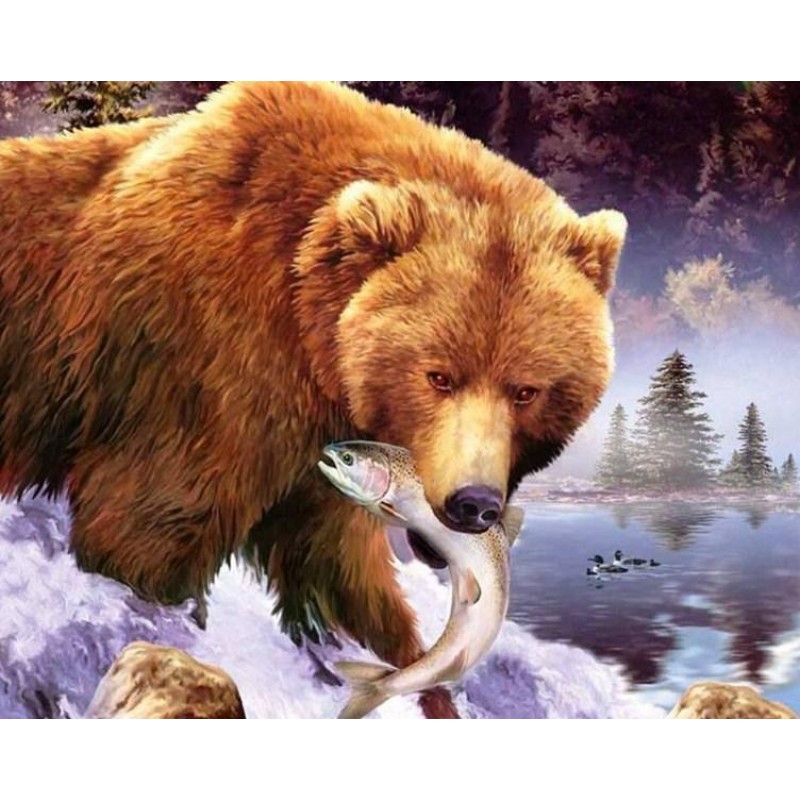 Bear Hunting Fish Di...