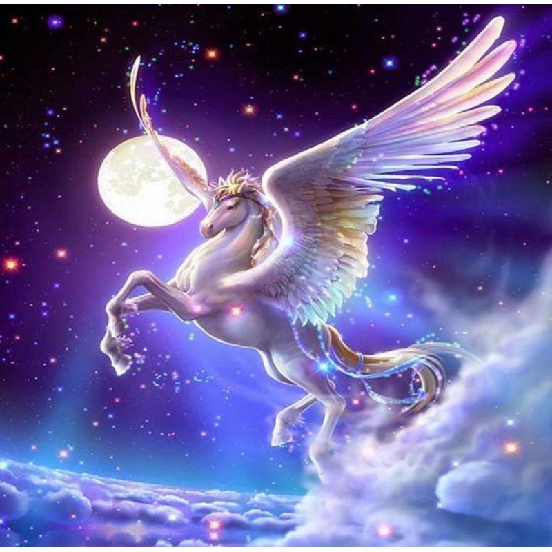 Fantasy Horse Flying...