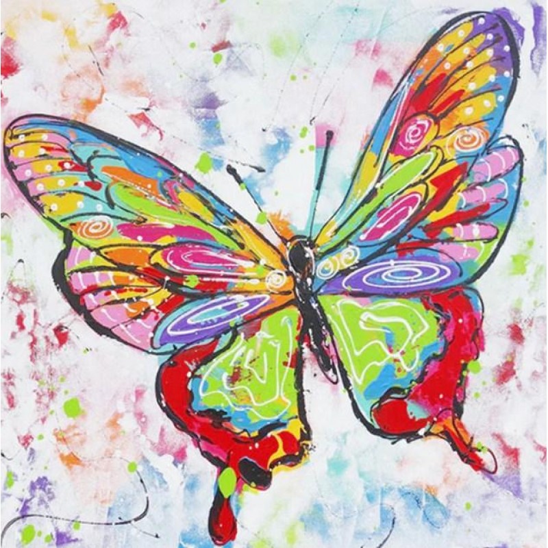 Beauty of Butterfly ...