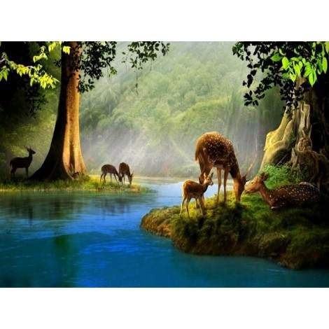 Amazing Water Stream & Deer Family