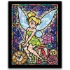Fairy Princess from Disneyland - DIY Painting Kit