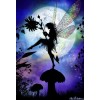 Fairies & Love DIY Diamond Paintings