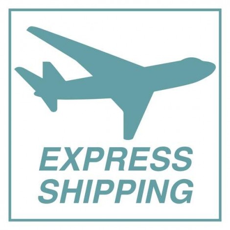 Express Shipping for Rolled Canvas [Large Size]