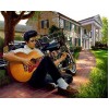 Elvis Presley - Paint by Diamonds