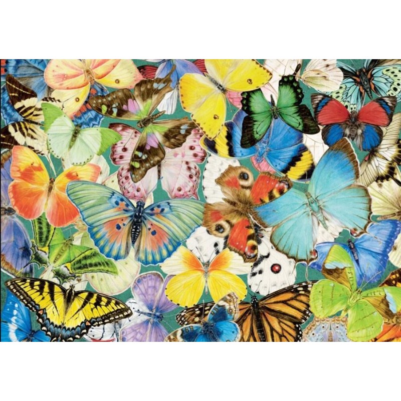 Colorful Butterfly S...