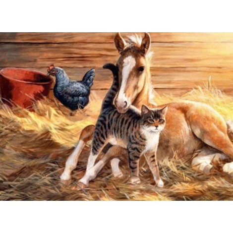 Cute Horse Baby & Kitten