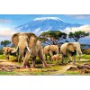 Elephant World - Diamond Painting Kit