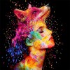 Abstract Faces Diamond Painting