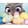 Easter Bunny Diamond Painting