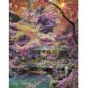 Early December in Japan