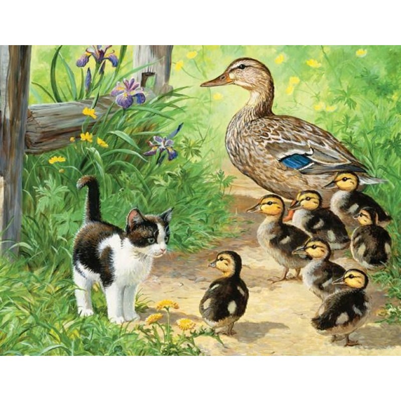 Duck Family & Ki...