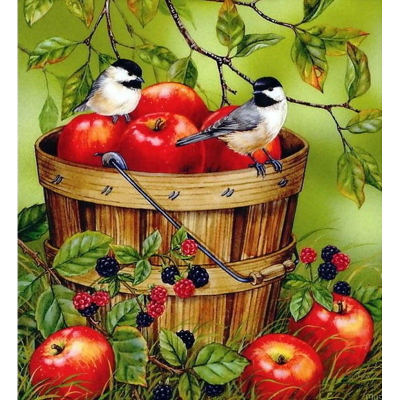 Apples in a Bucket &...