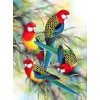 Colorful Parrots on Trees