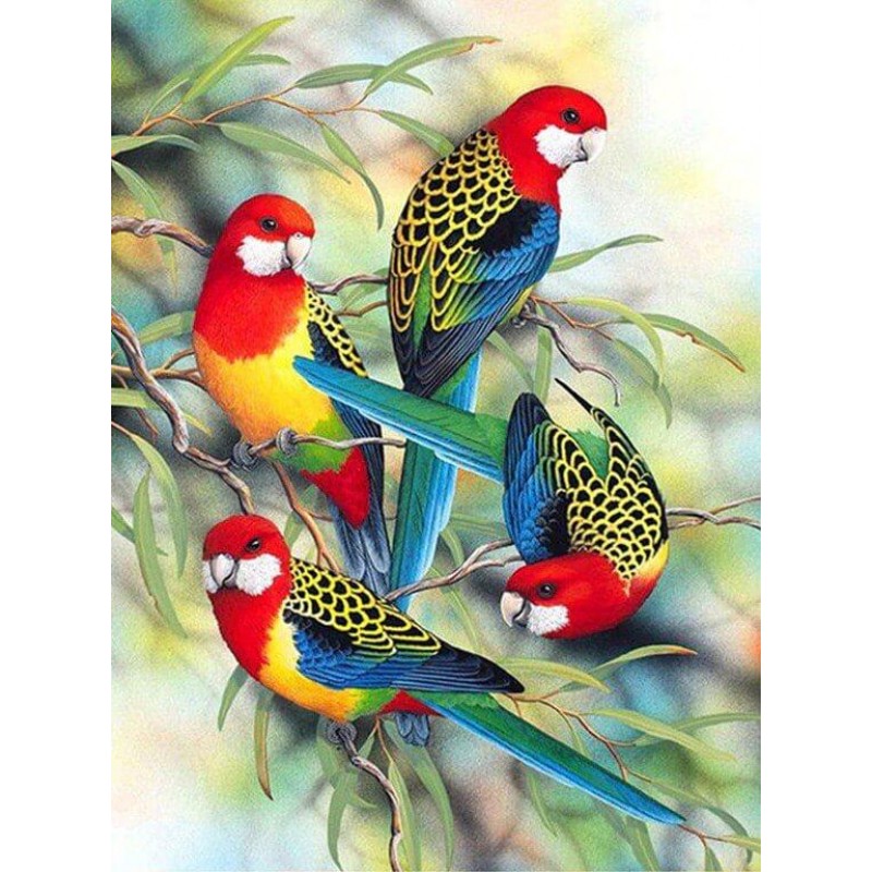 Colorful Parrots on ...