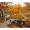 Autumn Season in A Park