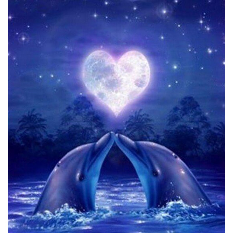 Dolphins Pair in Lov...