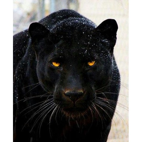 Black Panther DIY Painting Kit
