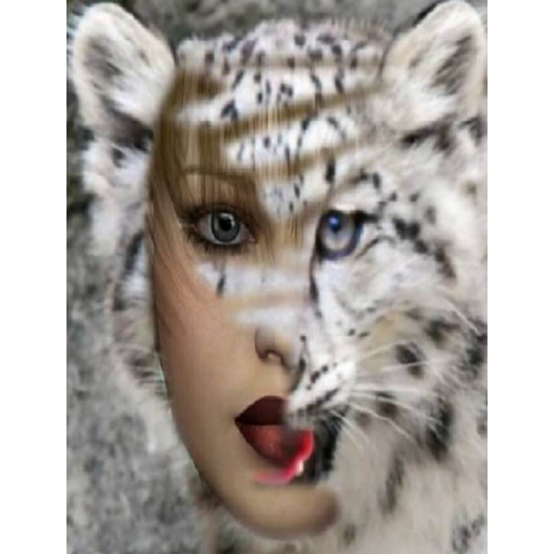 Abstract Girl Face