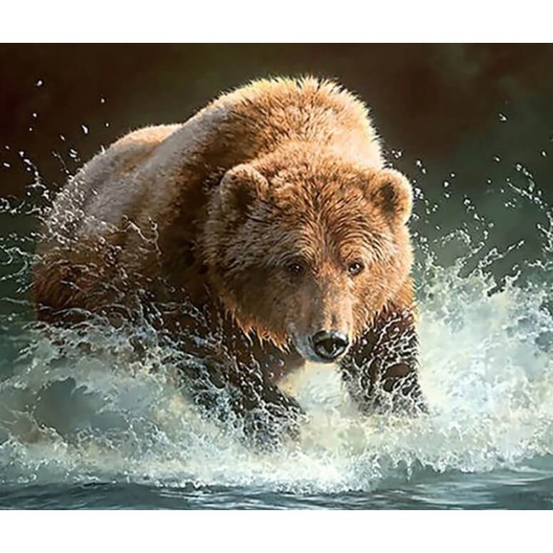Bear in Water Painting Ki...
