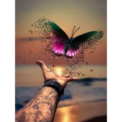 Beautiful Butterfly Freed to Fly
