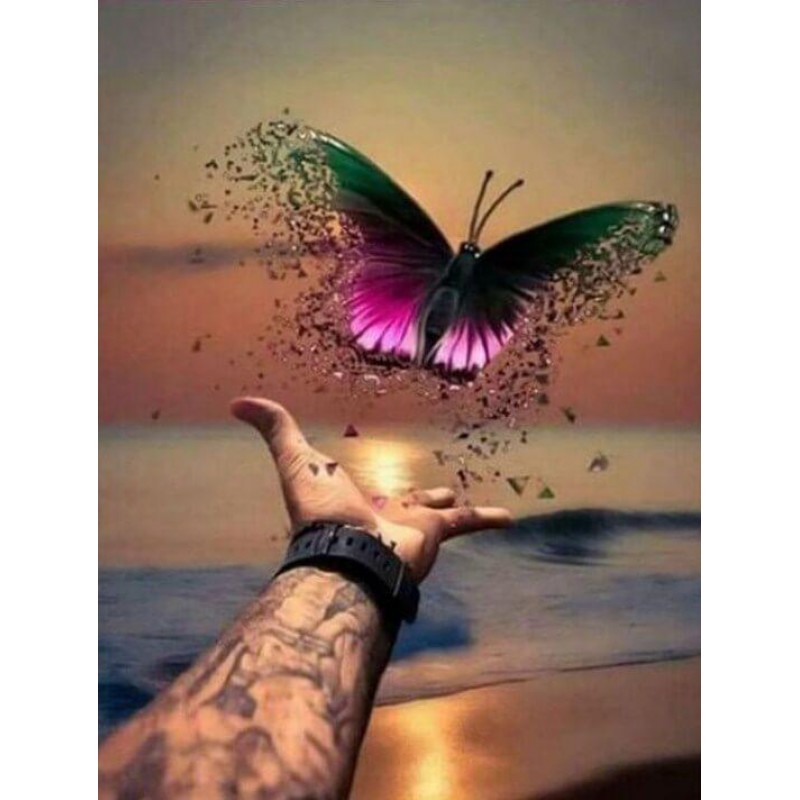 Beautiful Butterfly ...
