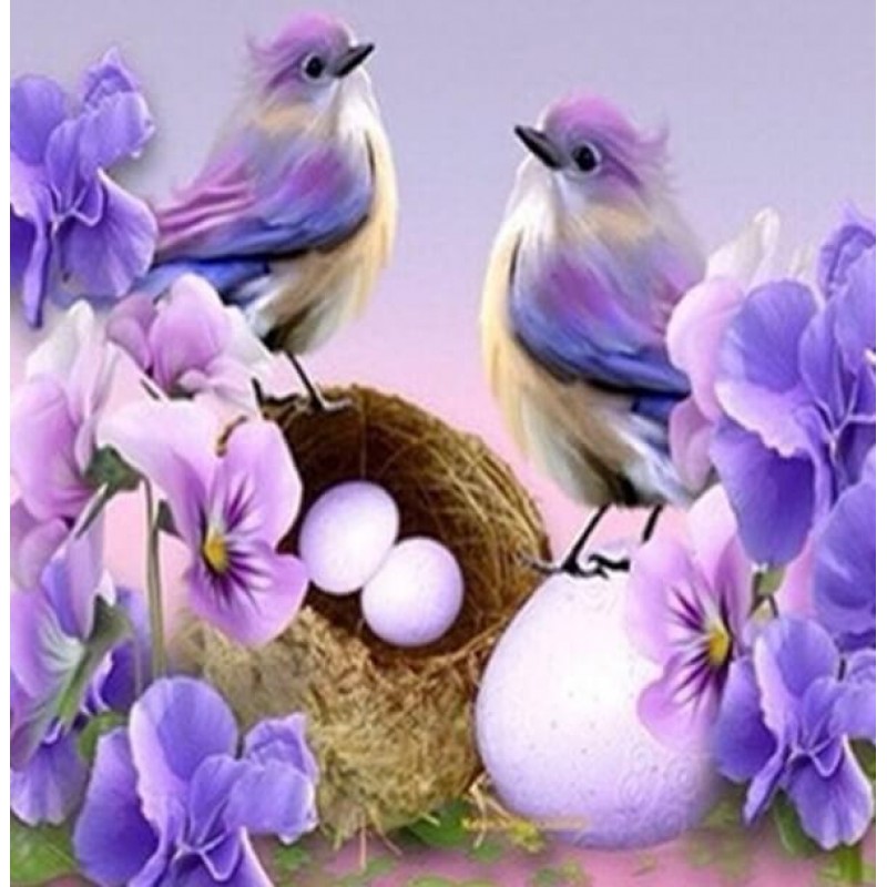 Birds Nest & Flo...