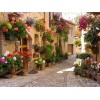 Umbria Italy - Paint by Diamonds
