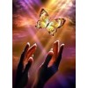 Butterfly Flying into the Sky