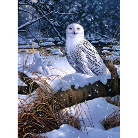 Amazing Snow Owl Diamond Painting