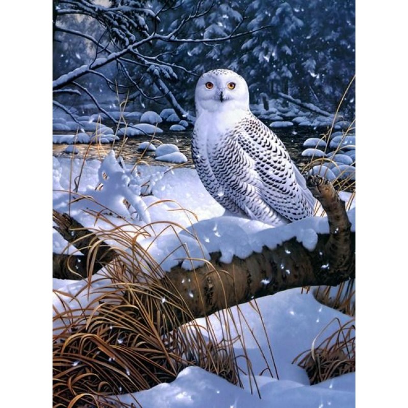 Amazing Snow Owl Dia...