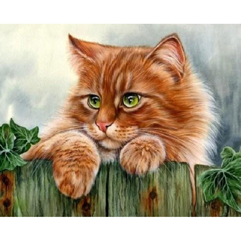 Cute Ginger Cat with...