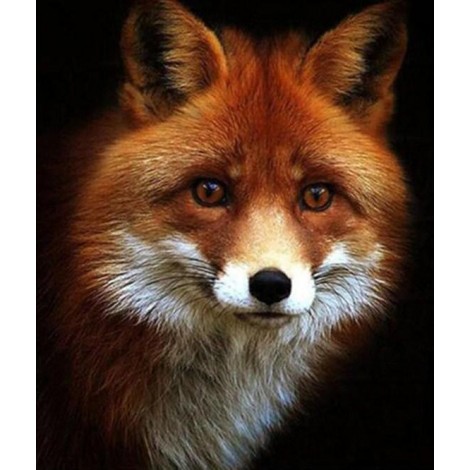 Adorable Red Fox Diamond Painting