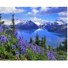 Amazing Mountains View & Blue Flowers